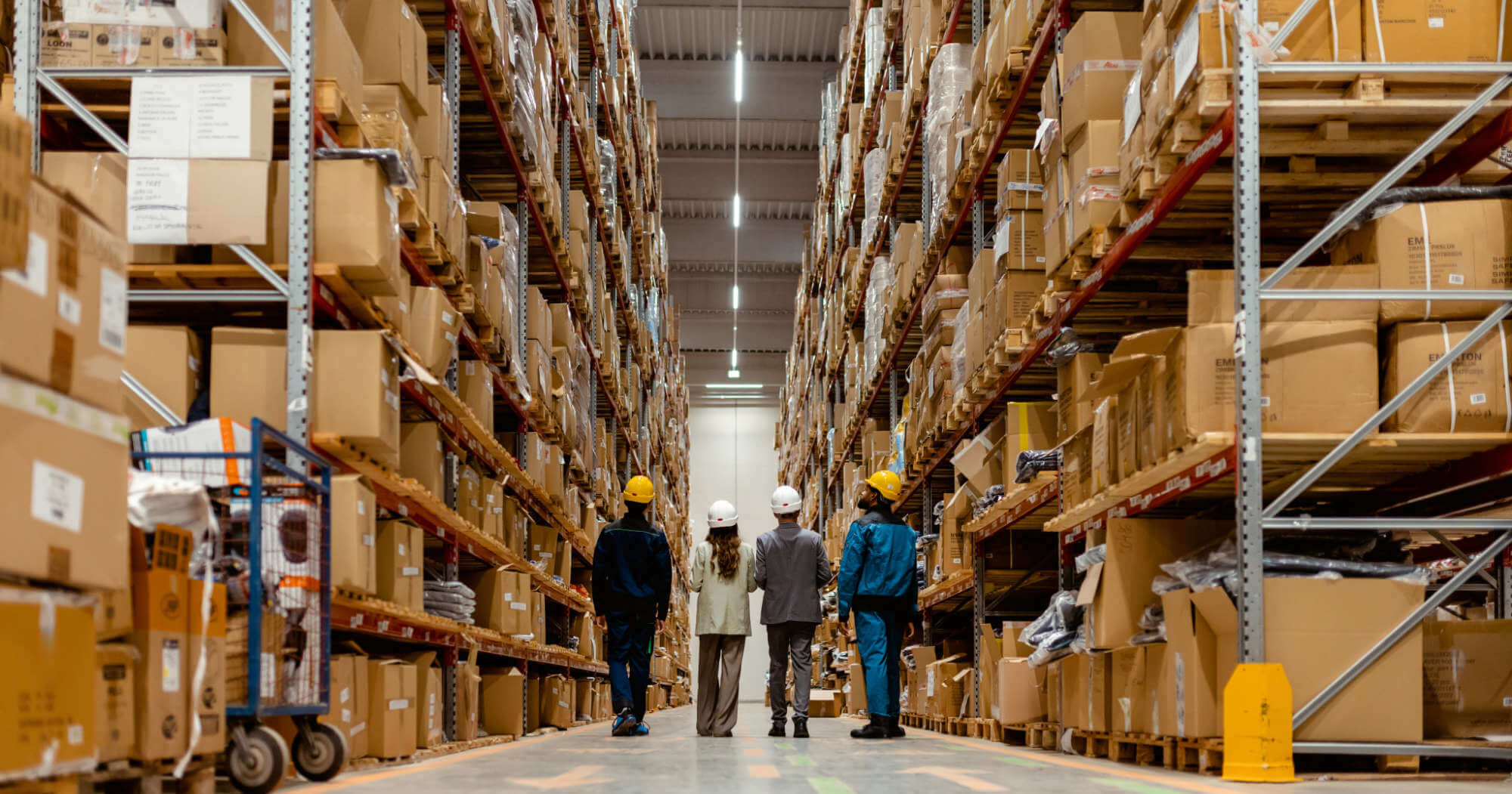 In this collaborative moment, a warehouse owners walks with theirs workers through the bustling warehouse, offering guidance and observing daily operations. The owner, dressed in a professional outfit, leads the way while engaging in conversation with the workers, who are dressed in safety gear. The organized warehouse setting, with rows of inventory, provides a clear view of the scale of the operation and underscores the teamwork and leadership that contribute to the businesss success.